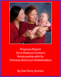 Chinese Report Cover